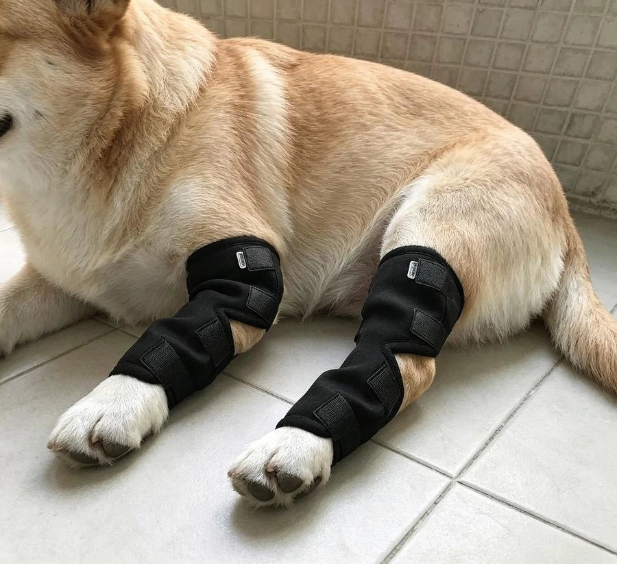 Dog Leg Support Brace Neoprene Black S‑XL For Sprain Arthritis Post‑Surgery Recovery