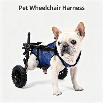 Dog Wheelchair for Hind Legs Disabled Weak Back Legs, Metal Frame Pet Mobility Aid for Small Medium Dogs M