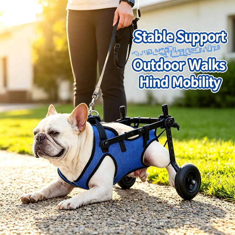 PD60260 Adjustable Dog Wheelchair for Injured Disabled & Senior Mobility-Impaired Dogs