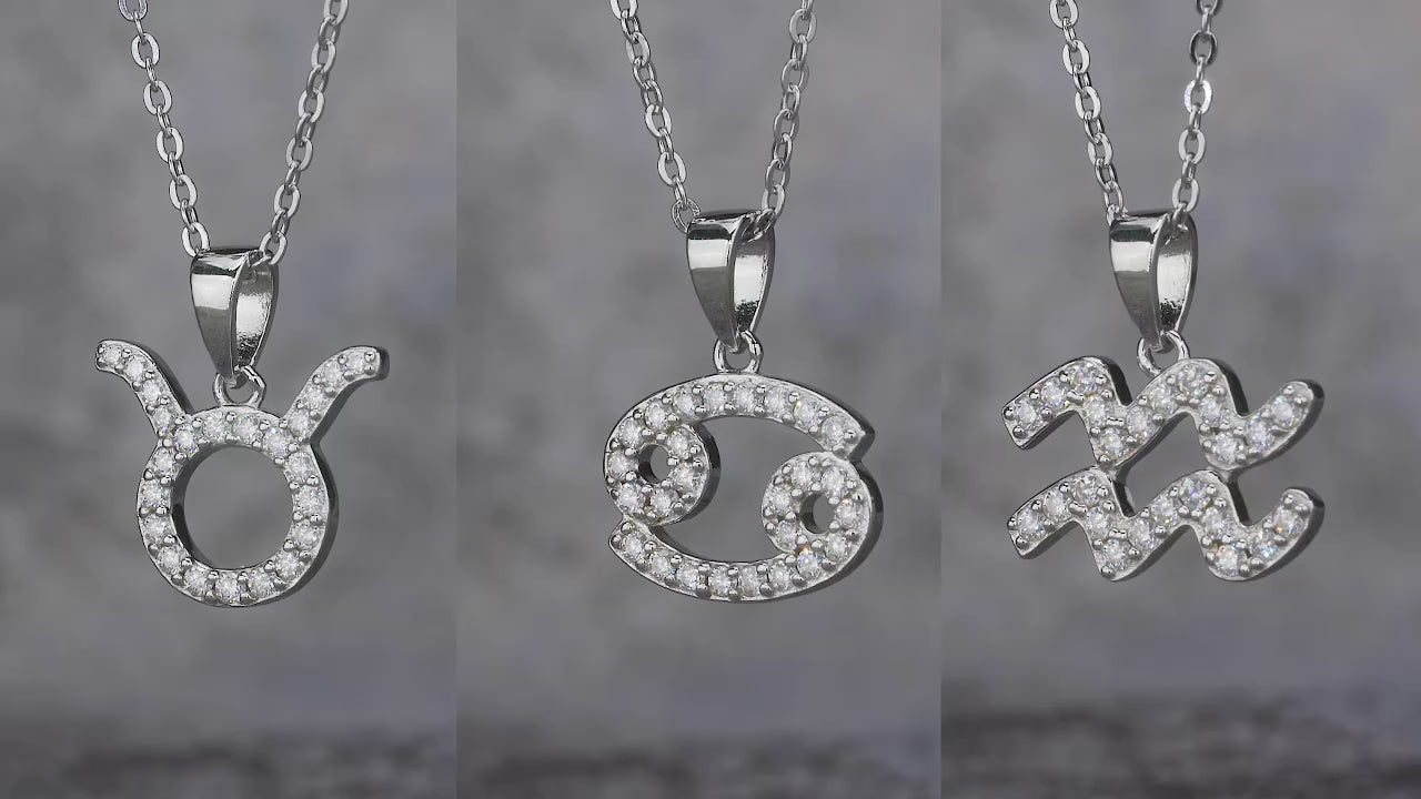 charmsolo Fine Jewelry Moissanite 12 Zodiac Necklace 