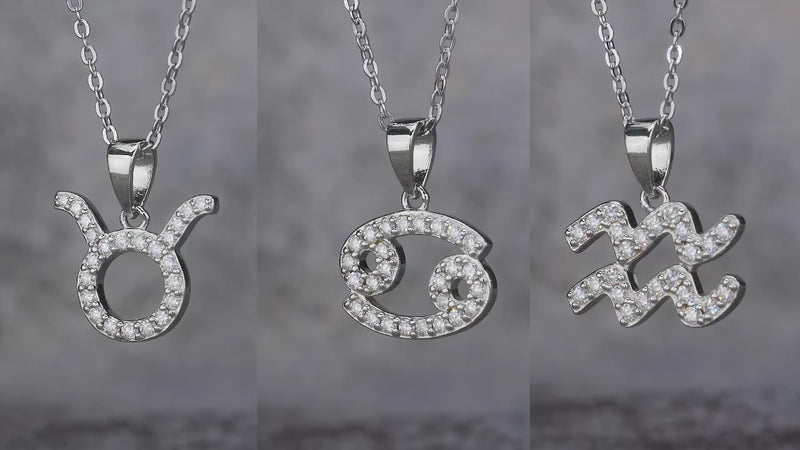 charmsolo Fine Jewelry Moissanite 12 Zodiac Necklace 