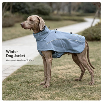 PD10062 Waterproof Windproof Polyester Dog Winter Coat Adjustable Outdoor Jacket For Large Dogs